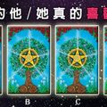 【愛情樹塔羅】 暗戀的他/她真的喜歡你嗎？