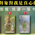 《童話塔羅》這個對象對我是真心的嗎？