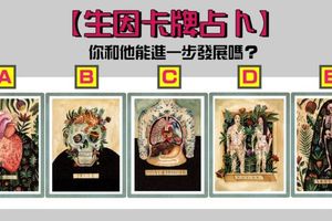  【生因卡牌占卜】你和他能進一步發展嗎？