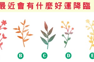 【草根神力占卜】最近會有什麼好運降臨？