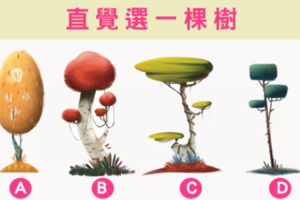  【靈樹占卜】三個月內，財富指數有多少?