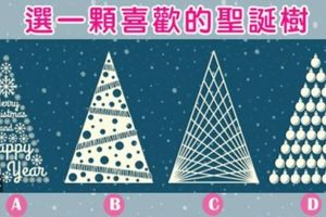  選科喜歡的聖誕樹！測你聖誕節有沒有愛情降臨