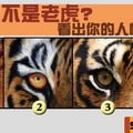 哪隻不是老虎?看出你的人性特徵