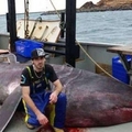 一名漁民居然意外捕到八十五年才出現一次的超巨大＂變種＂嗜血巨鯊！關於牠的蹤跡與一切隻存在於＂傳說＂！甚至還..讓人看得下巴都掉了！