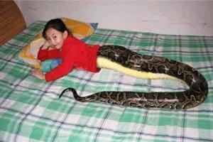 一名泰國3歲男童自稱蛇轉世的故事，而該男童的陳述也獲得相關人證的證實。原來不能隨隨便便吃蛇肉！