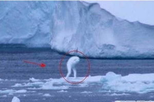 震驚！南極洲拍攝到30公尺高的巨型人類！未解之謎終於曝光了！