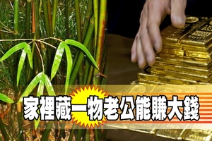 家裡藏一物老公能賺大錢