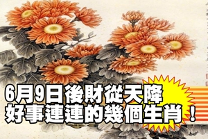 6月9日後，財從天降好事連連的幾個生肖！