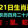 5月21日生肖運勢鼠、蛇、龍大吉