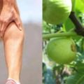 經常抽筋？「缺鉀」！可能還會引發高血壓、心臟病！這8種水果幫你改善身體！