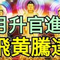 6月陞官進爵，飛黃騰達的3生肖！