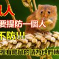 屬鼠人：6月需要「提防」一個人，不可不防！別不信