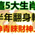 下半年翻身轉運，福神青睞財神上門，5大生肖生活步步高升！