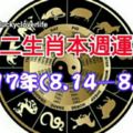 十二生肖本週運勢2017年(8.14—8.20)