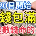 1月20日開始，這3大生肖財氣高漲，賺得錢包滿滿，就是數錢的命！