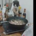 貓咪偷熱鍋裡的肉吃，叼起肉的瞬間，網友直呼：神操作！