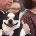 養一隻黏人的狗是什麼體驗？總統也一樣要放下身段
