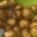原來土豆可以降血壓、控血糖？馬鈴薯鮮汁療法，有顯著的藥效。