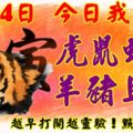 3月14日，今日我最旺！虎鼠蛇牛羊豬馬猴！【66888】越早打開越靈驗！點個贊吧！