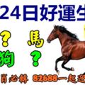 3月24日好運生肖，萬事亨通好運到！【馬+？+虎+羊+狗+？】『上榜生肖必轉82688一起迎好運！』