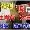 大師預測：5月1日開始這6生肖有大喜事！