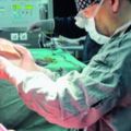 25歲女孩遇車禍腦死亡~57歲單親爸爸接受肝髒獲新生
