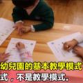 應當明確幼兒園的基本教學模式是游戲模式，不是教學模式。