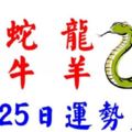 8月25日生肖運勢_鼠、蛇、龍大吉
