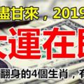 2019年升職加薪，財運連連，終於要翻身的4個生肖，有你嗎？