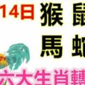 12月14日生肖運勢_猴、鼠、雞大吉