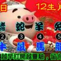 2019年1月6日，星期日農歷臘月初一（戊戌年乙丑月癸卯日）