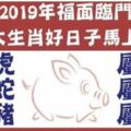 2019年福面臨門，這6大生肖好日子馬上來