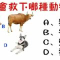 心理學：4種動物面臨被殺的命運，你只能救下一種，測出你最看重什麼