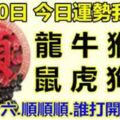 2月20日，星期三,十二生肖今日運勢【正月十六，順順順,誰打開誰就順】