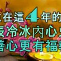 出生在這4年的生肖，外表冷冰冰，內心火熱熱，有善心更有福報！