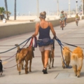 不帶狗狗去散步「飼主將被開罰」　澳洲提新法案：禁止忽略狗狗的感受