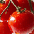 西紅柿生吃還是熟吃好？效果天差地別！不知道虧大！