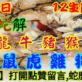 2019年6月17日，星期一，農歷五月十五（己亥年庚午月乙酉日）