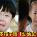 臺灣教育專家：幼稚園裡超前教育的危害，等孩子上二年級才真正爆發