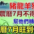 家有豬龍羊猴，農曆七月不得了了！幫他們轉一下！必須接好運