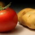 土豆和番茄一起吃，會產生鹽酸傷胃？闢謠：毫無道理，可以放心吃