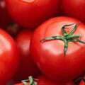 西紅柿不管生吃、熟吃都有營養，搭配茄子、土豆、蝦仁營養更豐富