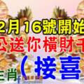 2月16號開始濟公送你橫財千萬，八大生肖【接喜了】