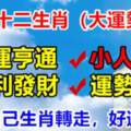 6月有大運勢的生肖，轉走好運臨身