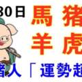 10月30日生肖運勢_馬、豬、狗大吉