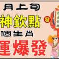 11月上旬財神欽點，五個屬相財運爆發