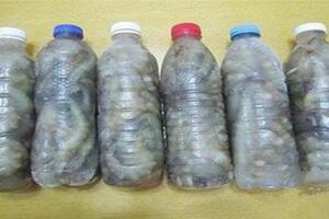 蝦買多了怎麼保存？教你這3招，這麼保存蝦，多久蝦頭再也不會變黑，別再直接放入冰箱了