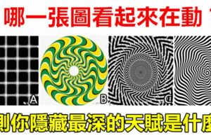 心理測試：哪一張圖看起來在動？測你隱藏最深的天賦是什麼