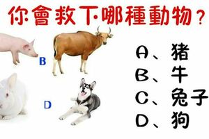 心理學：4種動物面臨被殺的命運，你只能救下一種，測出你最看重什麼