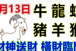3月13日生肖運勢_牛、龍、蛇大吉